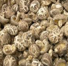 SHIITAKE MUSHROOM  WHOLE